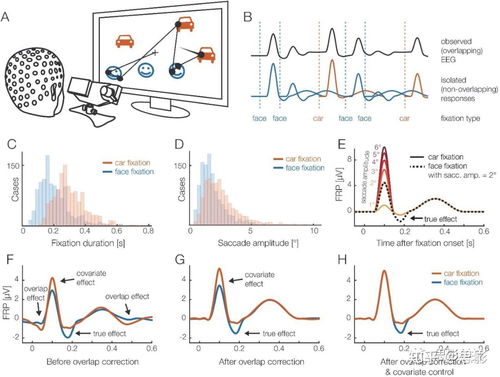 思影科技眼動數(shù)據(jù)處理服務與軟件開發(fā)，賦能精準視覺洞察