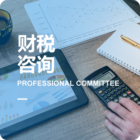 福建省信息技術(shù)咨詢服務(wù)行業(yè)協(xié)會(huì)專業(yè)委員會(huì)介紹